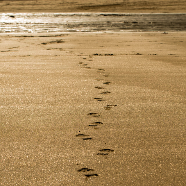 Footprints in the sand